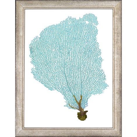 Picture of BLUE FAN CORAL V