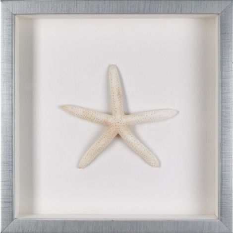 Picture of STARFISH NATURAL SHADOW BOX