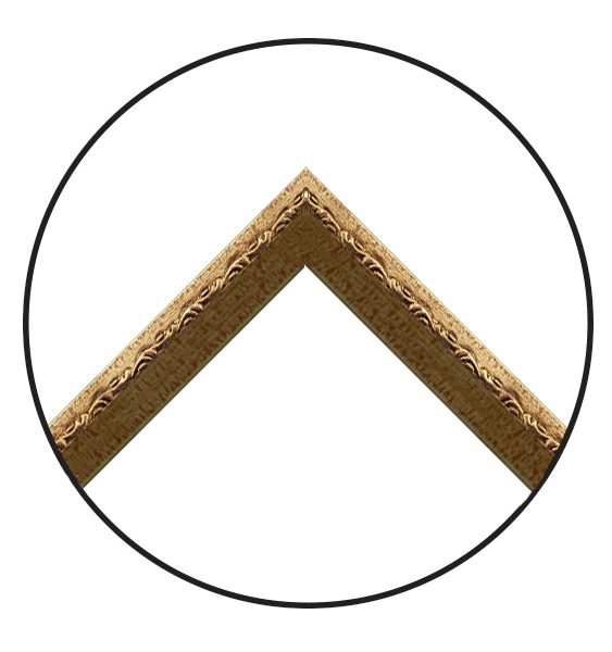 Image MW00012874