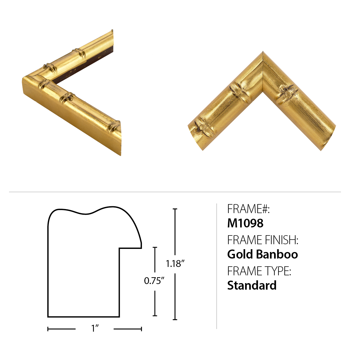 Image M1098SUB1