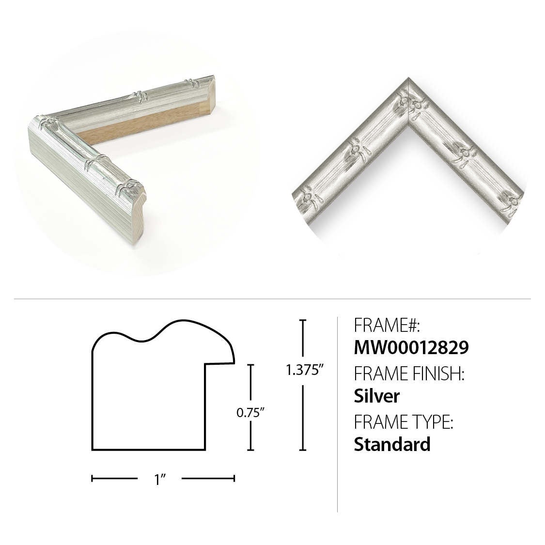 Image MW00012829
