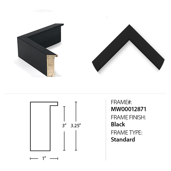 Image MW00012871