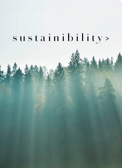 SUSTAINIBILITY_V2