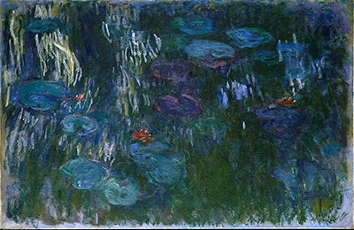 Water_Lilies