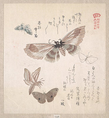 DP139026_32x36