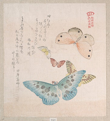 DP139027_32x36