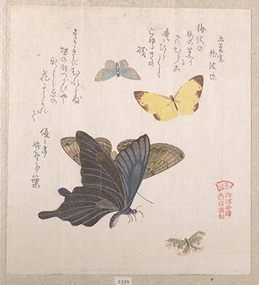 DP139030_32x36