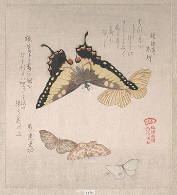 DP139032_32x36