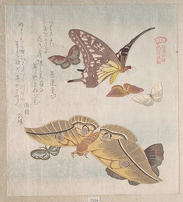 DP140337_32x36
