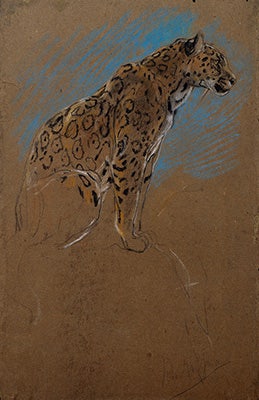 DT4924_34x50