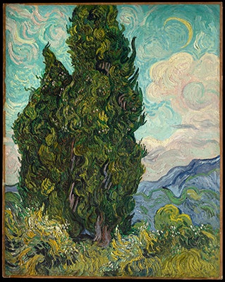 Cypresses_49.30