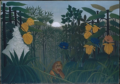 Heart_of_the_Jungle_51.112.5
