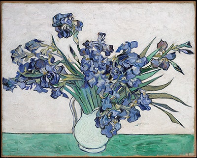 Iris_58.187