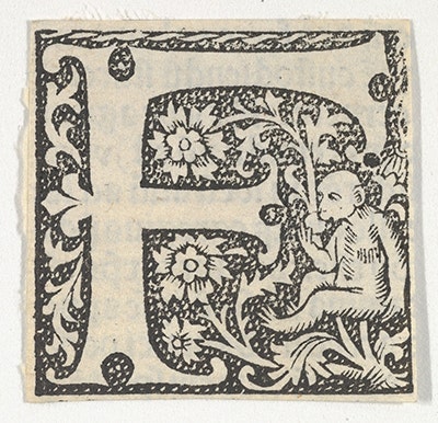 DP855190.1