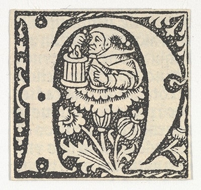 DP855191.1