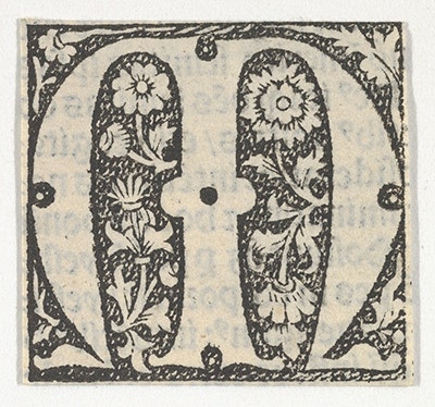 DP855193