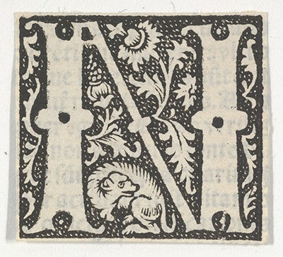 DP855194