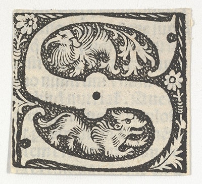 DP855198